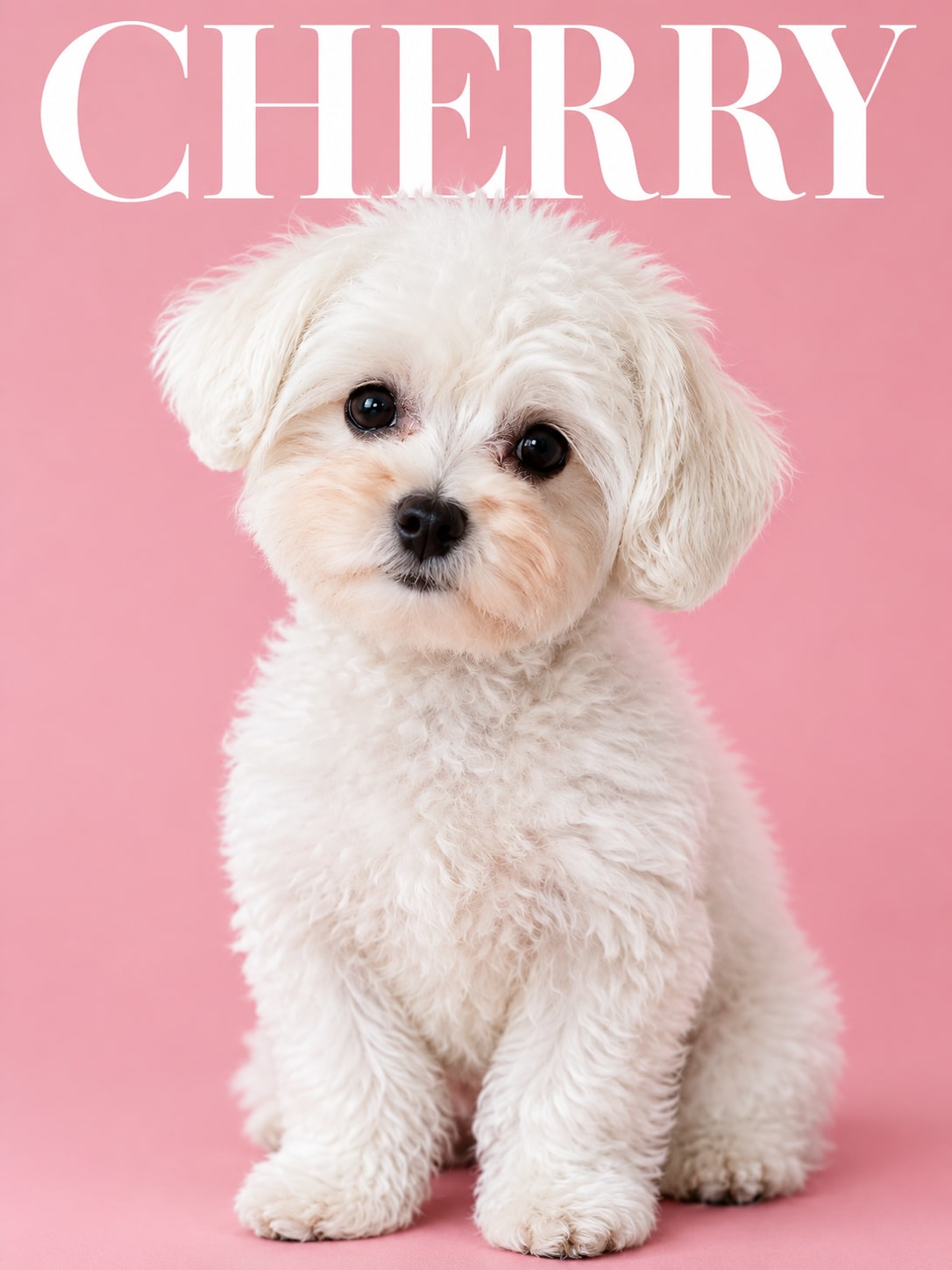 Magazine Cover